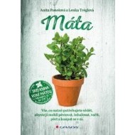 Máta - cena, srovnání