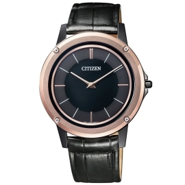 Citizen AR5025