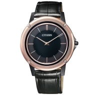 Citizen AR5025 - cena, srovnání