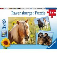 Ravensburger Poníky - 3x49 - cena, srovnání