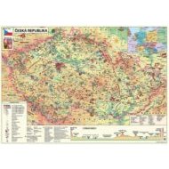 Dino Mapa České republiky 500 - cena, srovnání