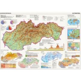 Dino Mapa Slovenské republiky 2000