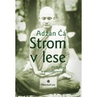 Strom v lese