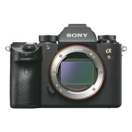 Sony Alpha 9 + 24-70mm