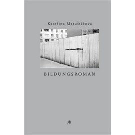Bildungsroman