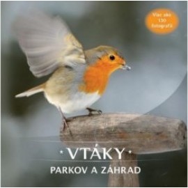 Vtáky parkov a záhrad