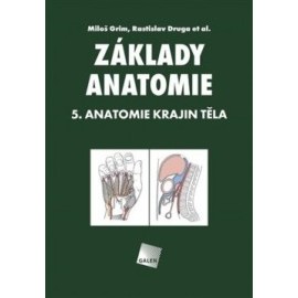 Základy anatomie 5