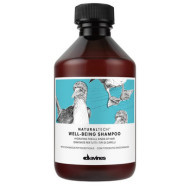 Davines Naturaltech Well Being Shampoo 100ml - cena, srovnání