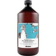 Davines Naturaltech Well Being Shampoo 1000ml - cena, srovnání