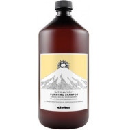 Davines Naturaltech Purifying Shampoo 1000ml - cena, srovnání
