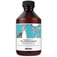 Davines Naturaltech Well Being Shampoo 250ml - cena, srovnání