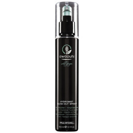 Paul Mitchell Awapuhi Wild Ginger Hydromist Blow Out Spray 150ml