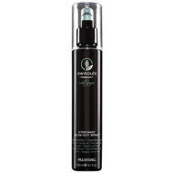 Paul Mitchell Awapuhi Wild Ginger Hydromist Blow Out Spray 150ml - cena, srovnání