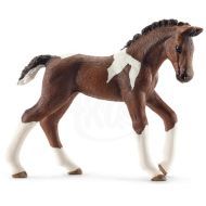 Schleich Žriebä koňa trakehnerského - cena, srovnání