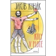 Kůly v plotě - cena, srovnání