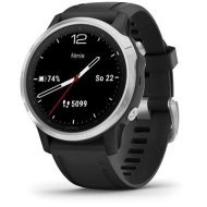 Garmin Fenix 6S Glass - cena, srovnání