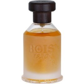 Bois 1920 Real Patchouly 100ml