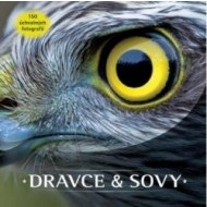 Dravce a sovy - cena, srovnání