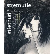 Stretnutie v úžase - cena, srovnání