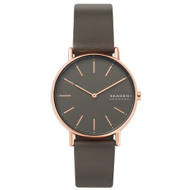 Skagen SKW2794