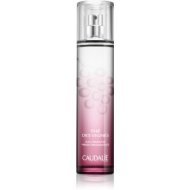 Caudalie Thé Des Vignes 50ml - cena, srovnání