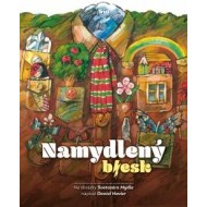 Namydlený blesk - cena, srovnání