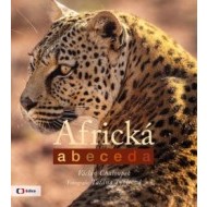 Africká abeceda - cena, srovnání