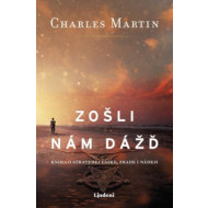 Zošli nám dážď - cena, srovnání