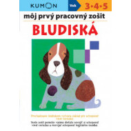 Bludiská - Môj prvý pracovný zošit - cena, srovnání