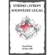 Střípky a střepy Souhvězdí Gulag - cena, srovnání