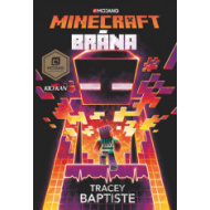 Minecraft Brána - cena, srovnání