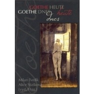 Goethe dnes / Goethe heute - cena, srovnání