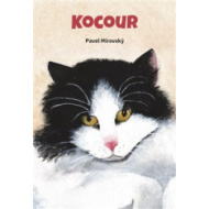 Kocour - cena, srovnání