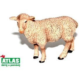 Wiky Atlas Ovce