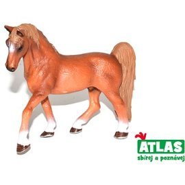 Wiky Atlas Kůň