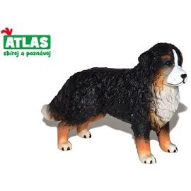 Wiky Atlas Bernský salašnický pes