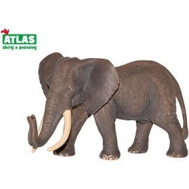 Wiky Atlas Slon africký