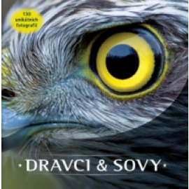 Dravci a sovy