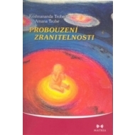 Probouzení zranitelnosti - cena, srovnání