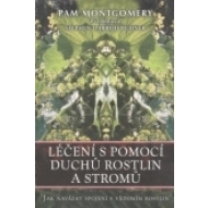 Léčení s pomocí duchů rostlin a stromů