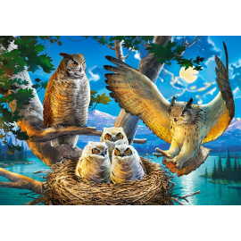 Castorland Owl Family 500