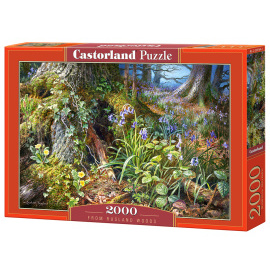 Castorland From Rusland Woods 2000