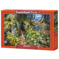 Castorland From Rusland Woods 2000 - cena, srovnání