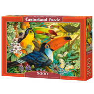 Castorland Interlude 3000 - cena, srovnání
