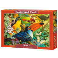 Castorland Interlude 3000 - cena, srovnání