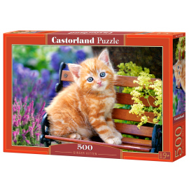 Castorland Ginger Kitten 500