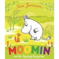 Moomin and the Spring Surprise - cena, srovnání