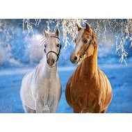 Castorland The Winter Horses 260 - cena, srovnání