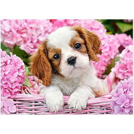 Castorland Puppy in pink flowers 180