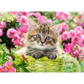 Castorland Kitten in Flower Garden 100